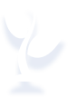 農業(yè)電商解決方案